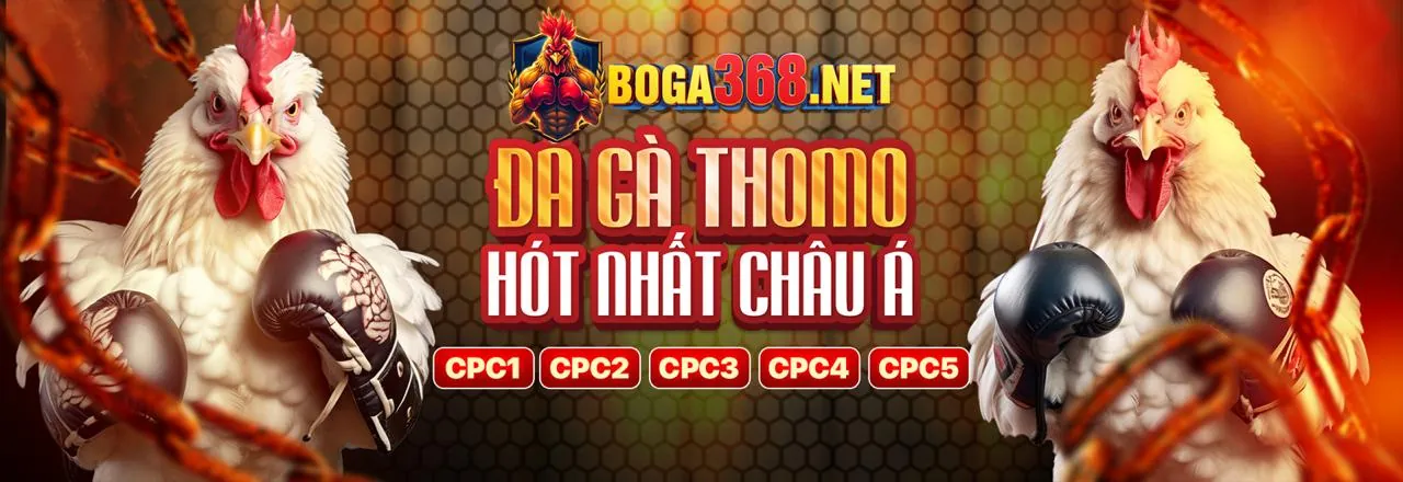 Hình ảnh chính blog MM853 với các trò chơi cá cược và ưu đãi hấp dẫn