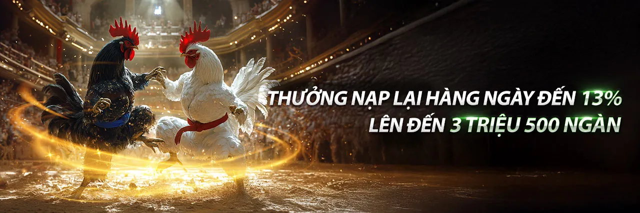 Cá cược Thể Thao mm853
