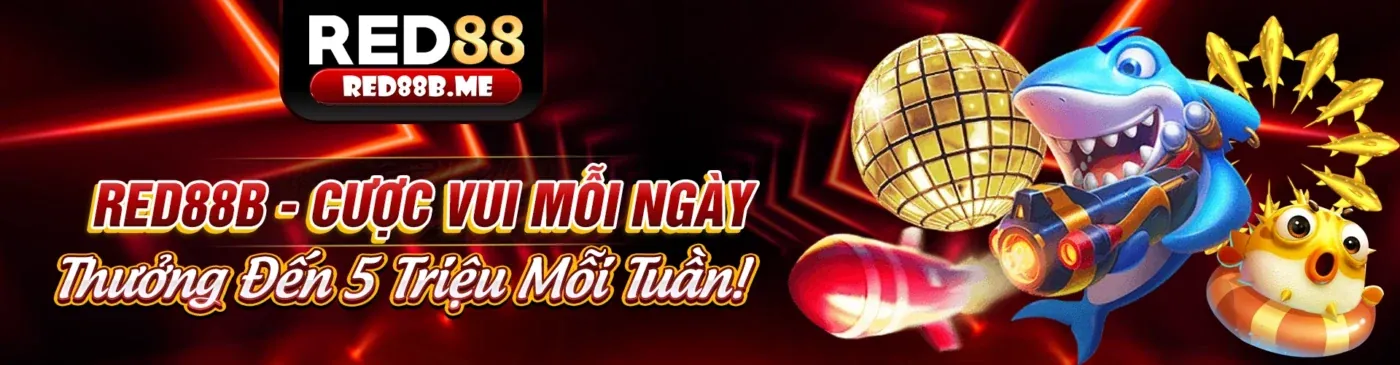 Các sản phẩm và dịch vụ nổi bật của MM853