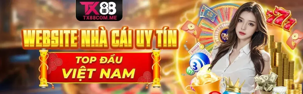 Tương lai phát triển của MM853